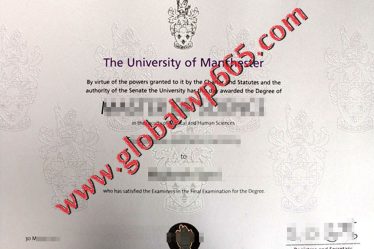 fake University of Manchester degree