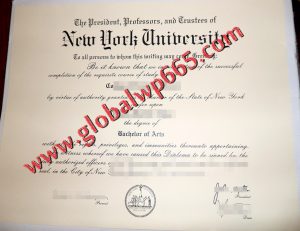 New York University degree