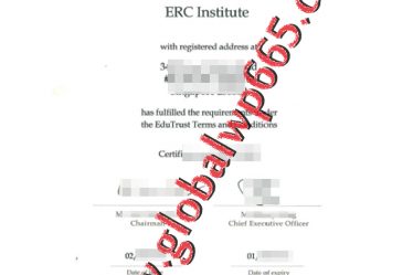 ERC Institute Singapore certificate