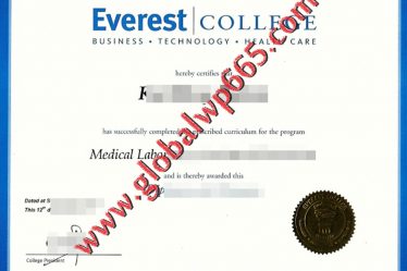 Everest College degree