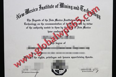 buy New Mexico Institute of Mining and Technology degree
