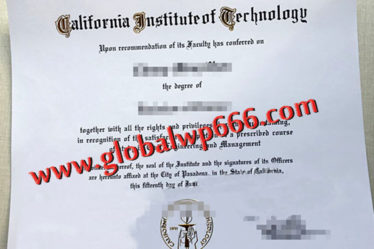 California-Institute-of-Technology fake diploma