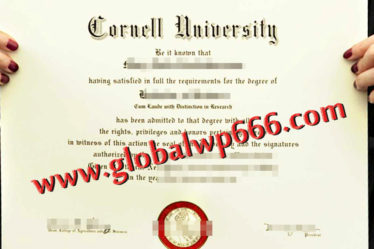 Cornell University fake degree