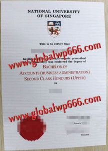 National-University-of-Singapore fake diploma