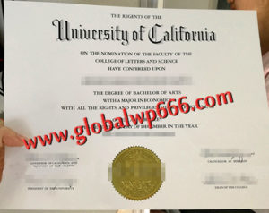 buy UCB fake diploma