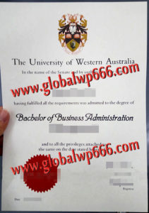 buy UWA fake degree