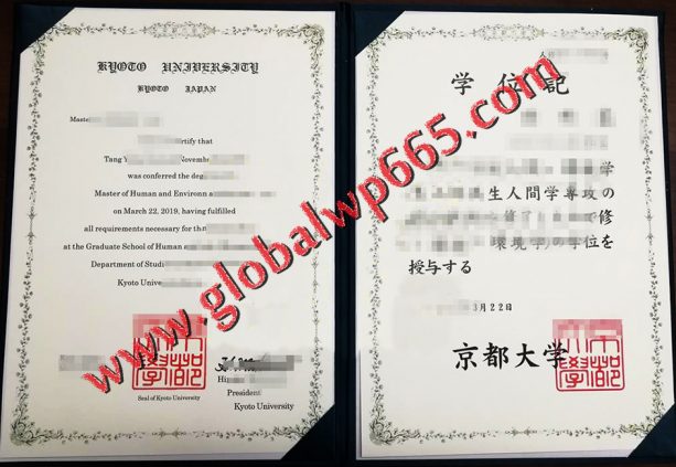 Kyoto University degree