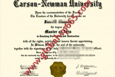 fake Newman University degree certificate