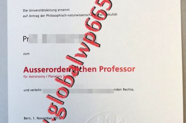 fake University of Bern degree certificate