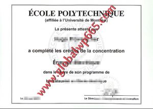 Ecole Polytechnique degree certificate