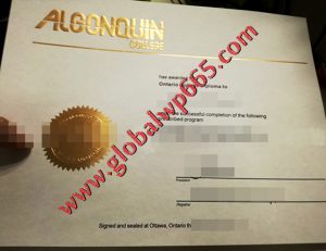 Algonquin College degree certificate