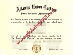 buy AUC degree certificate