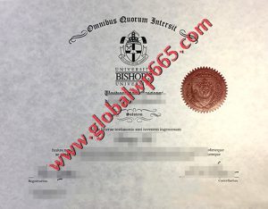 fake Bishop's University degree certificate
