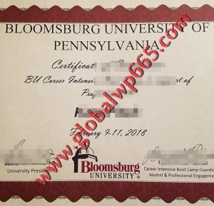 BUP fake degree certificate
