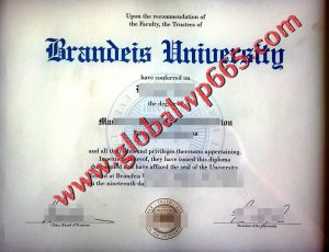 fake Brandeis University degree certificate
