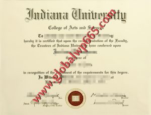 IUB fake degree certificate