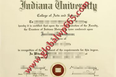 IUB fake degree certificate