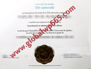 Université du Québec à Chicoutimi degree certificate