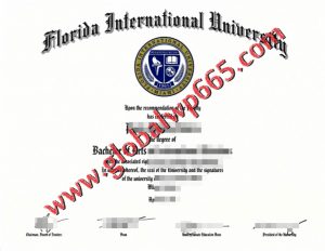 fake Florida International University degree certificate