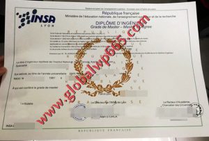 INSA fake diploma