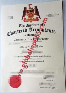 Institute of Chartered Accountants in Australia fake degree