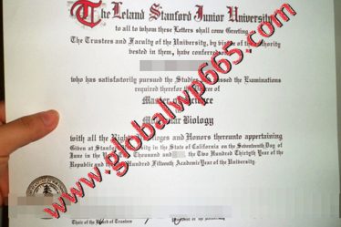 buy Leland Stanford Junior University degree certificate