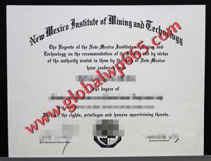 buy New Mexico Institute of Mining and Technology degree